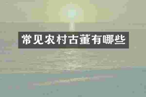 常见农村古董有哪些