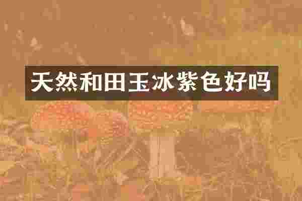 天然和田玉冰紫色好吗