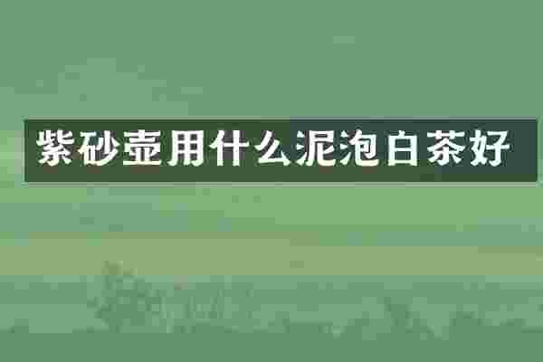 紫砂壶用什么泥泡白茶好