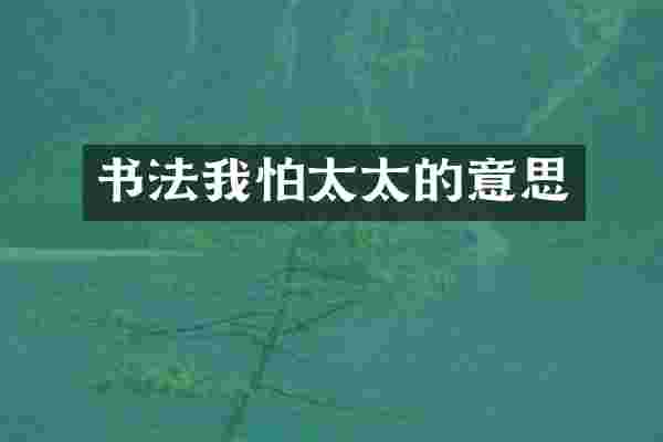 书法我怕太太的意思