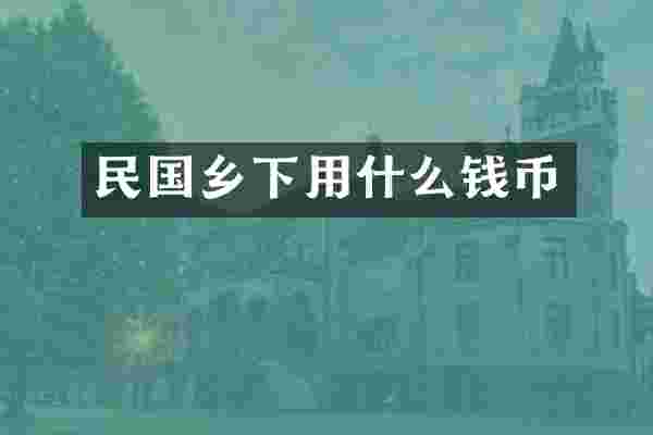 民国乡下用什么钱币