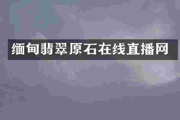 缅甸翡翠原石在线直播网