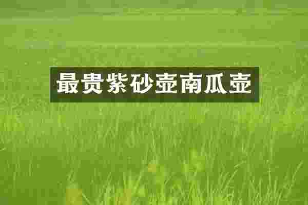 最贵紫砂壶南瓜壶