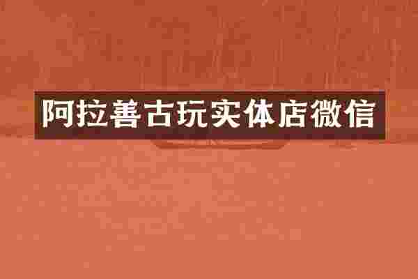 阿拉善古玩实体店微信