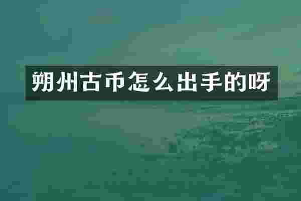 朔州古币怎么出手的呀