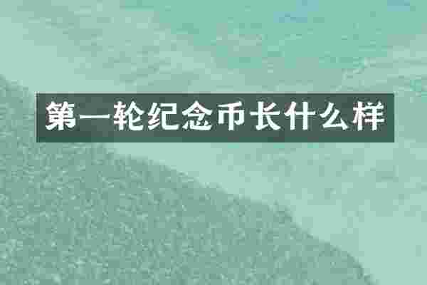 第一轮纪念币长什么样