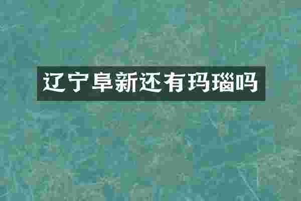 辽宁阜新还有玛瑙吗