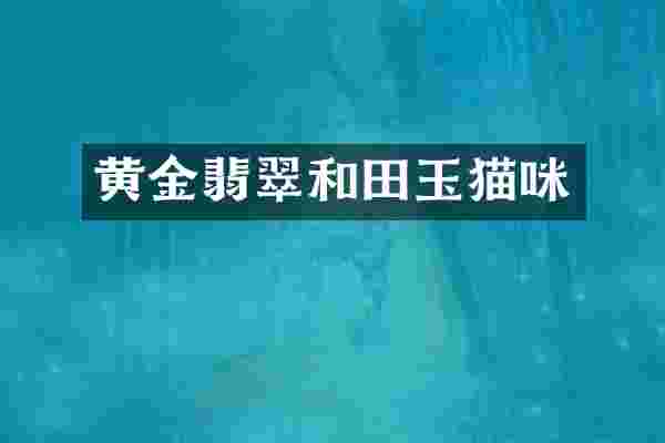 黄金翡翠和田玉猫咪