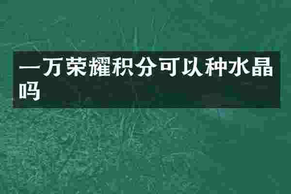 一万荣耀积分可以种水晶吗