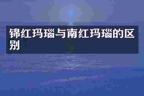 锦红玛瑙与南红玛瑙的区别