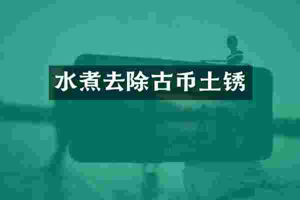 水煮去除古币土锈