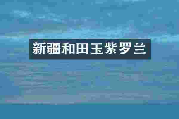 新疆和田玉紫罗兰