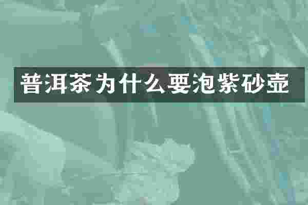 普洱茶为什么要泡紫砂壶