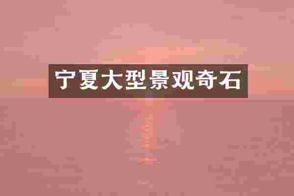 宁夏大型景观奇石