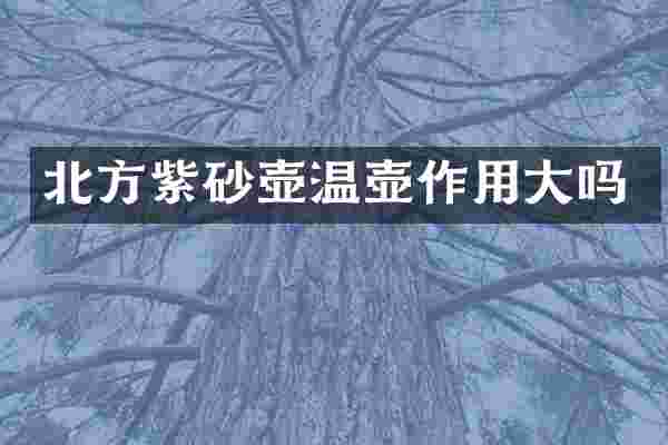 北方紫砂壶温壶作用大吗