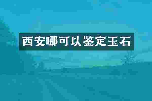 西安哪可以鉴定玉石