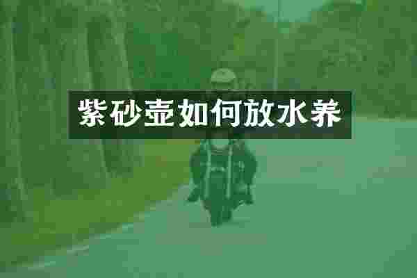 紫砂壶如何放水养