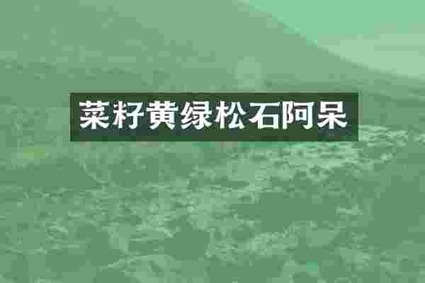 菜籽黄绿松石阿呆