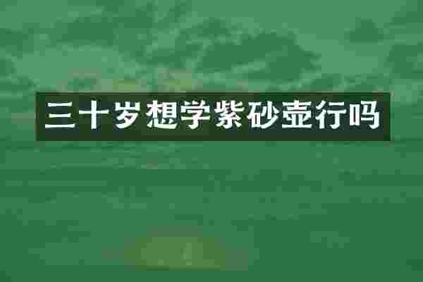 三十岁想学紫砂壶行吗