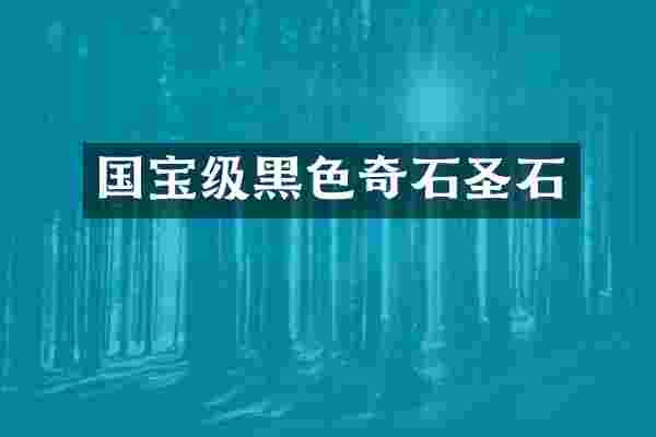国宝级黑色奇石圣石