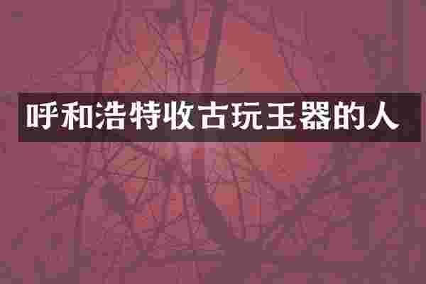呼和浩特收古玩玉器的人