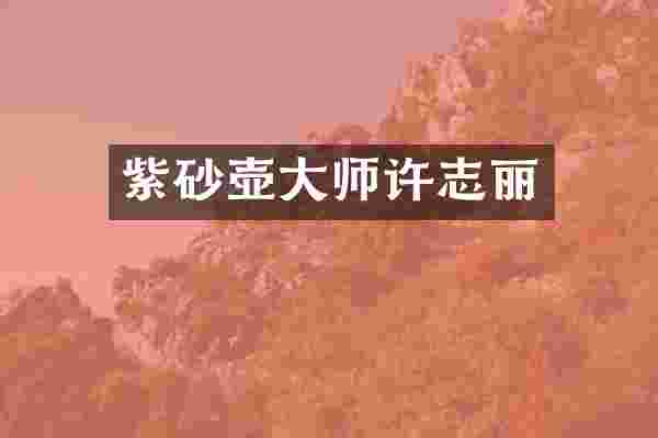 紫砂壶大师许志丽