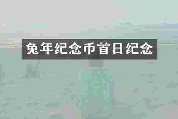 兔年纪念币首日纪念