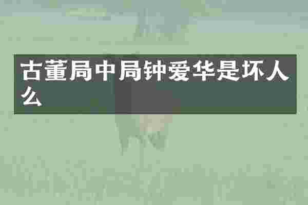 古董局中局钟爱华是坏人么