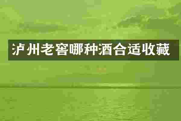 泸州老窖哪种酒合适收藏