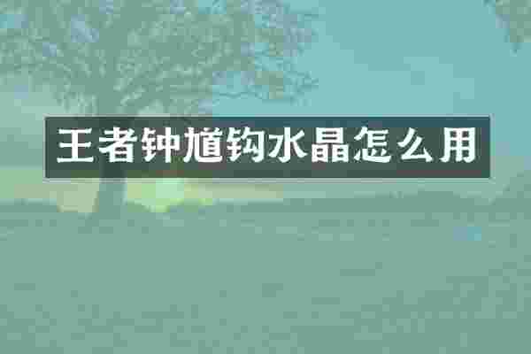 王者钟馗钩水晶怎么用