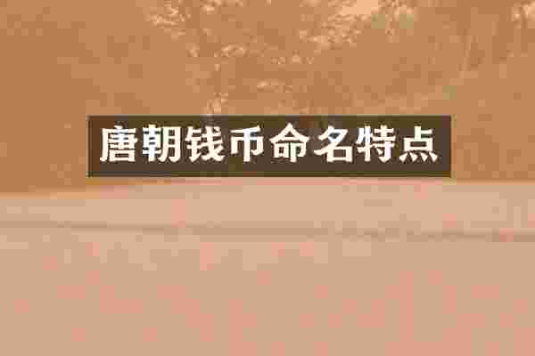 唐朝钱币命名特点