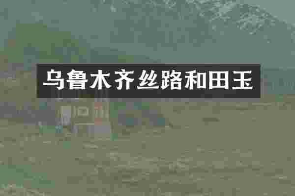 乌鲁木齐丝路和田玉