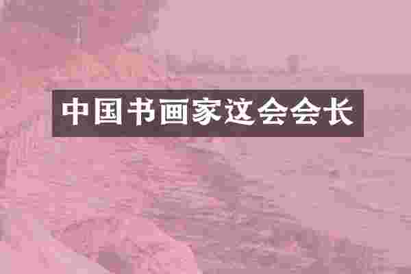 中国书画家这会会长