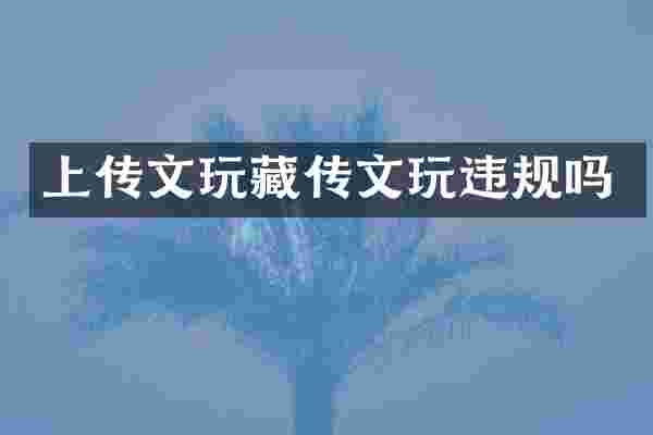 上传文玩藏传文玩违规吗