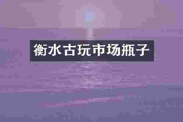 衡水古玩市场瓶子