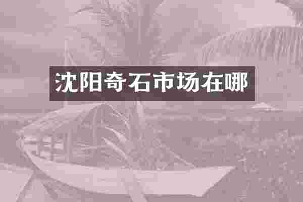 沈阳奇石市场在哪