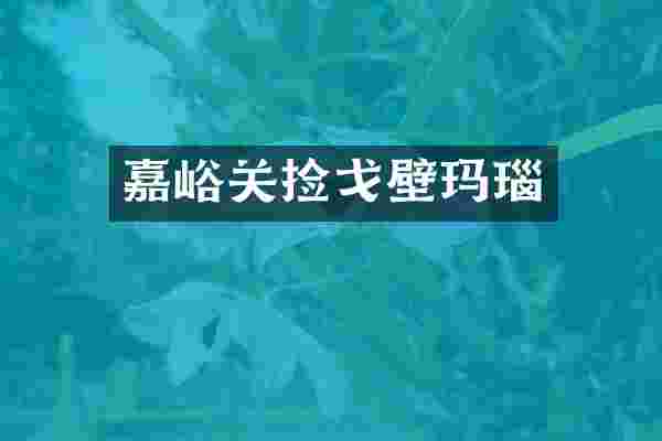 嘉峪关捡戈壁玛瑙