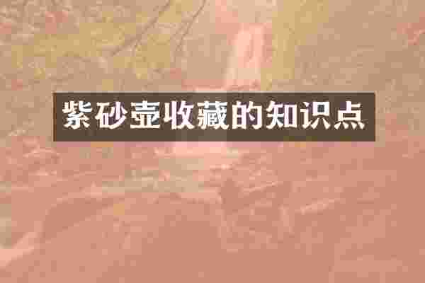 紫砂壶收藏的知识点
