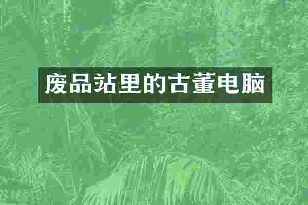 废品站里的古董电脑