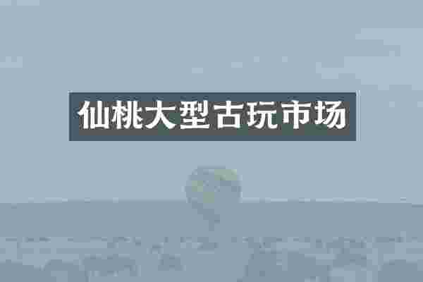 仙桃大型古玩市场