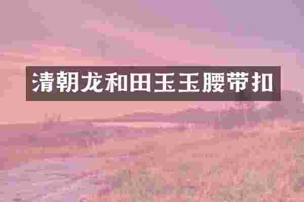 清朝龙和田玉玉腰带扣