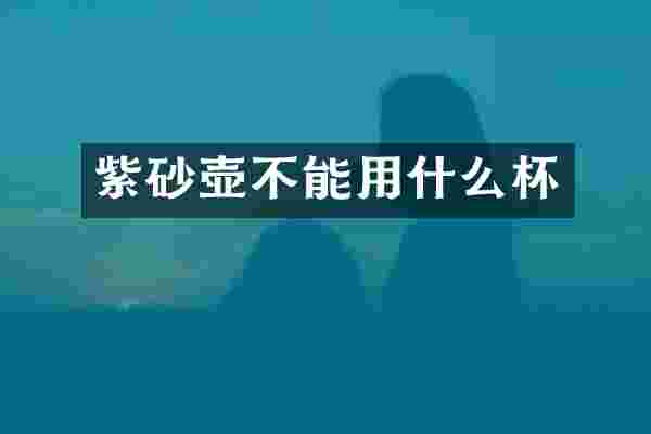 紫砂壶不能用什么杯