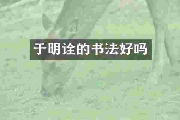 于明诠的书法好吗