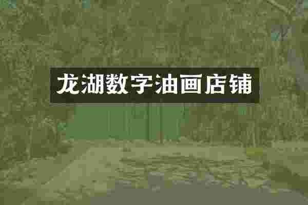 龙湖数字油画店铺