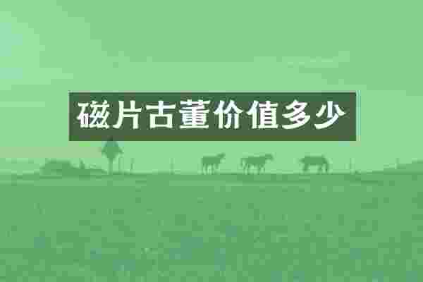 磁片古董价值多少