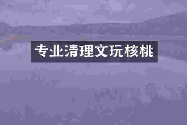 专业清理文玩核桃
