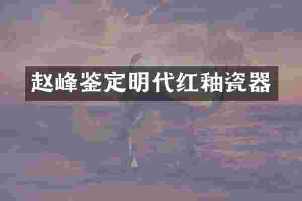 赵峰鉴定明代红釉瓷器