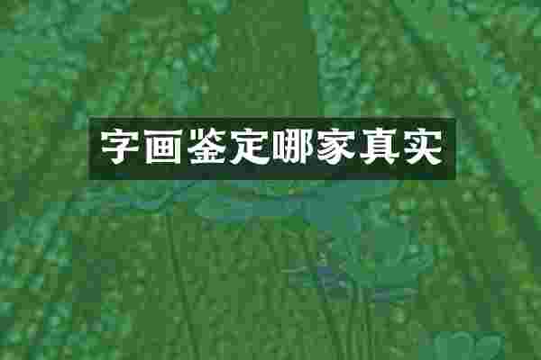 字画鉴定哪家真实