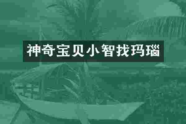 神奇宝贝小智找玛瑙
