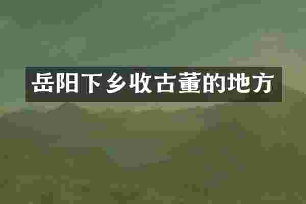岳阳下乡收古董的地方